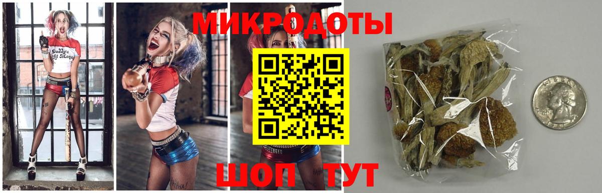 Галлюциногенные грибы Psilocybe  Полысаево 