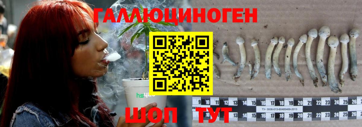 Полысаево  Галлюциногенные грибы Psilocybine cubensis  купить   Вход с VPN 